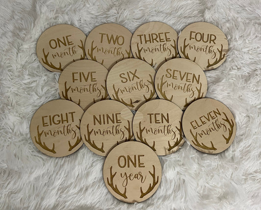 Baby milestone disks